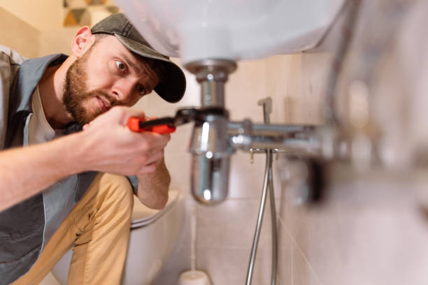 Best Water Filtration System Installation  in Darrington, WA